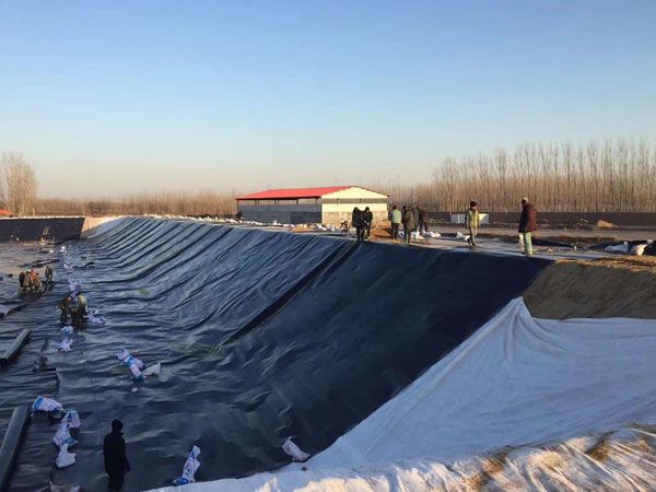 魚塘土工膜防滲